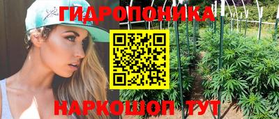 стафф Донецк
